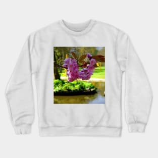 Collett Park Blossoms Crewneck Sweatshirt